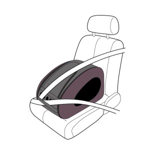 04_web_FS1009_BR_carseat_1000.jpg