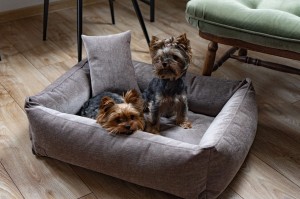 1 (98) — kopia.jpg