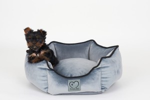 SHOW LINE VIBRANIUM 3.jpg