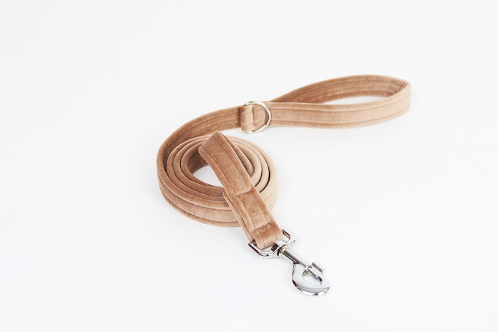 Smycz Luxury Golden Dust.jpg