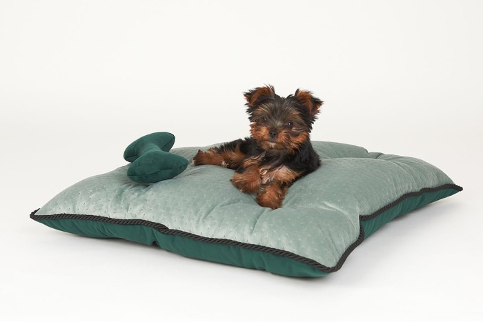 Poducha Luxury Show Line Kryptonite 4.jpg