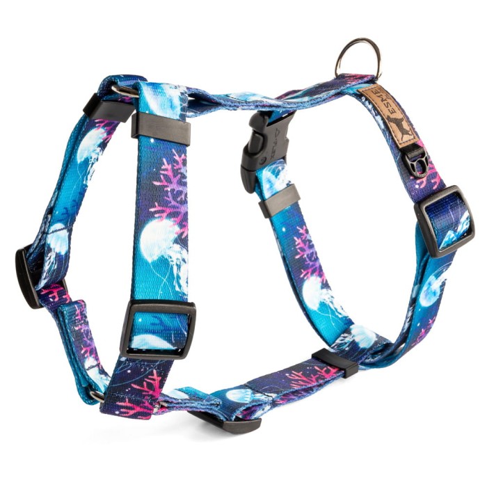 Szelki Aquarius.jpeg