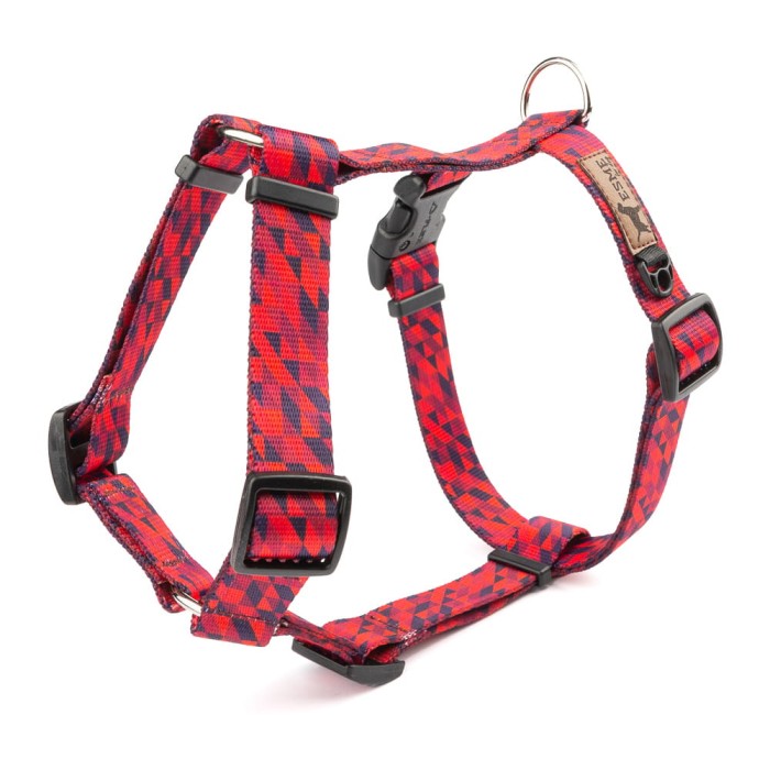 Szelki Rude Boy.jpeg