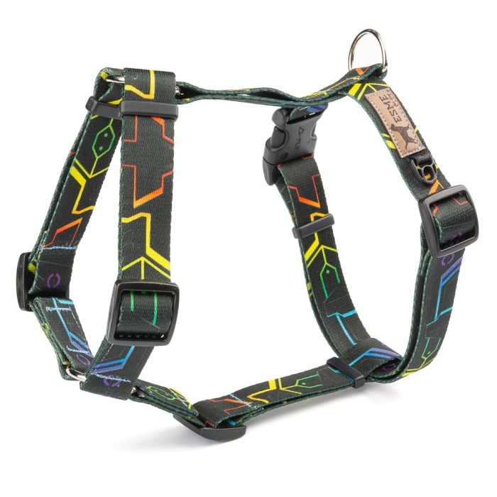 Szelki Cyber Space.jpeg