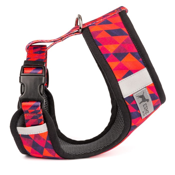 Szelki Rude Boy.jpeg