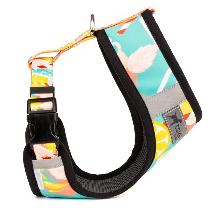 Szelki Lemonade.jpeg