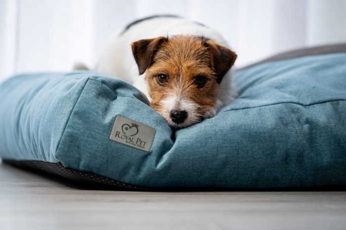 Imperial Plus Topaz 7.jpeg