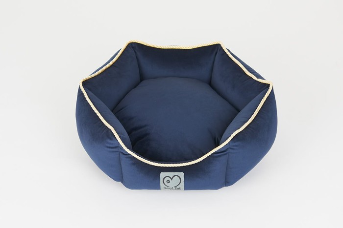 SHOW LINE ROYAL BLUE 3.jpg