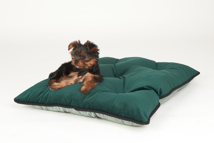 Poducha Luxury Show Line Kryptonite 2.jpg