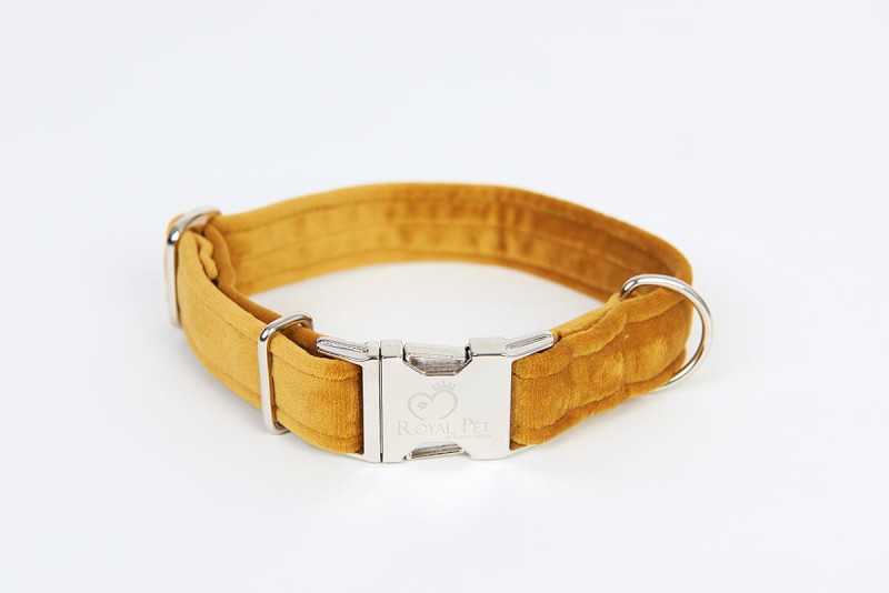 Obroża Luxury Amber.jpg
