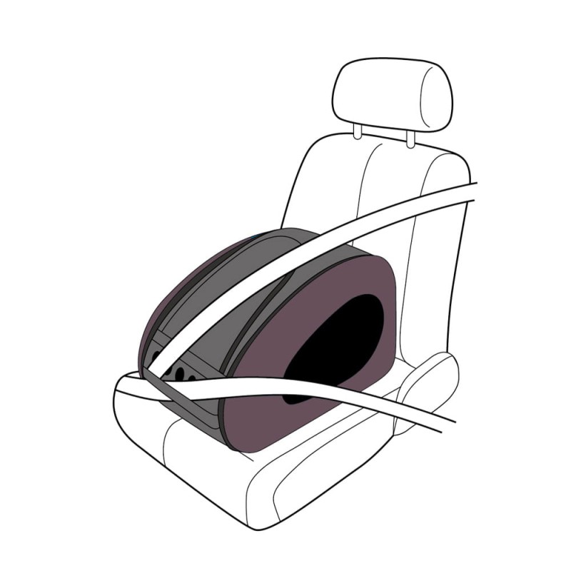 04_web_FS1009_BR_carseat_1000.jpg