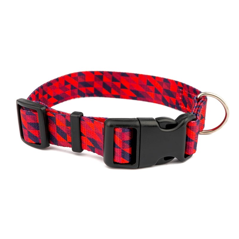 Obroża Rude Boy.jpeg