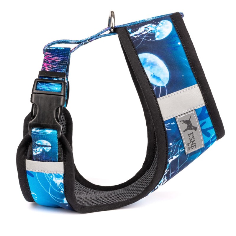 Szelki Aquarius.jpeg