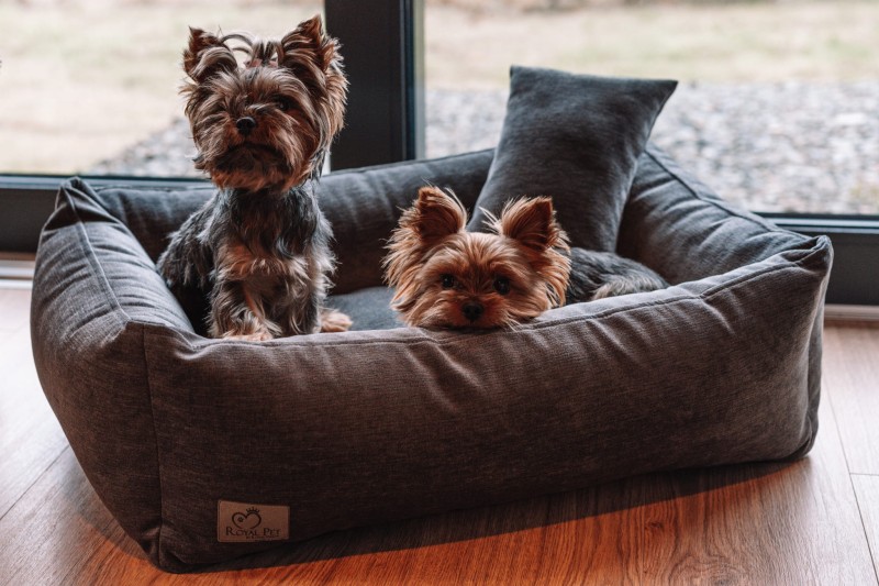 1 (45) — kopia.jpg