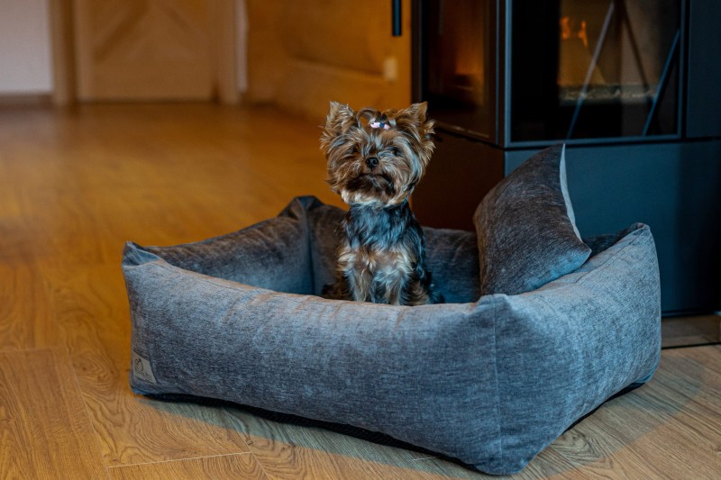 1 (22) — kopia.jpg