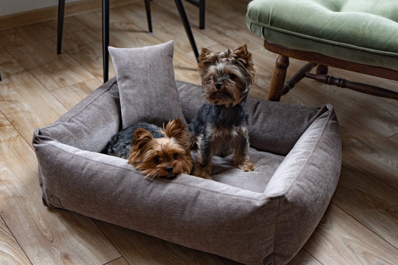 1 (98) — kopia.jpg