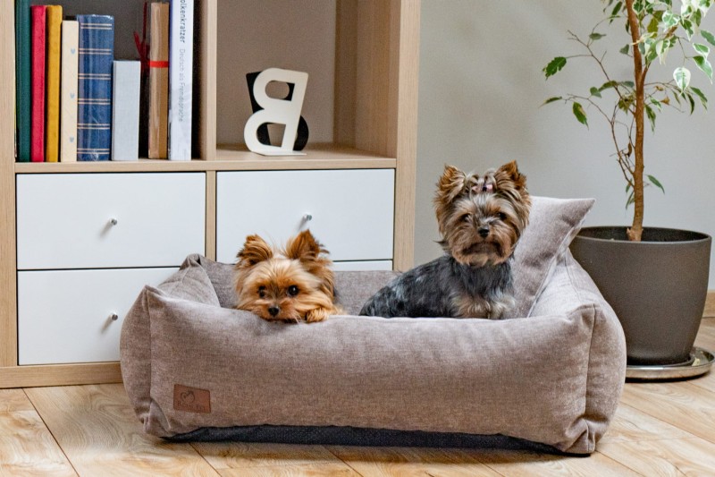 1 (111) — kopia.jpg