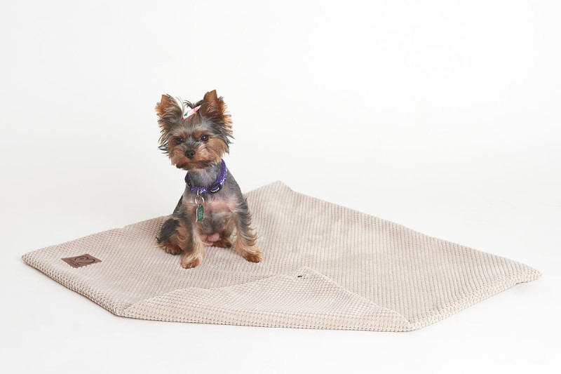 Kocyk Premium ecru dopinany z napami .jpg