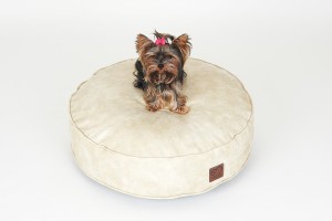Poducha Special Ivory 2.jpg
