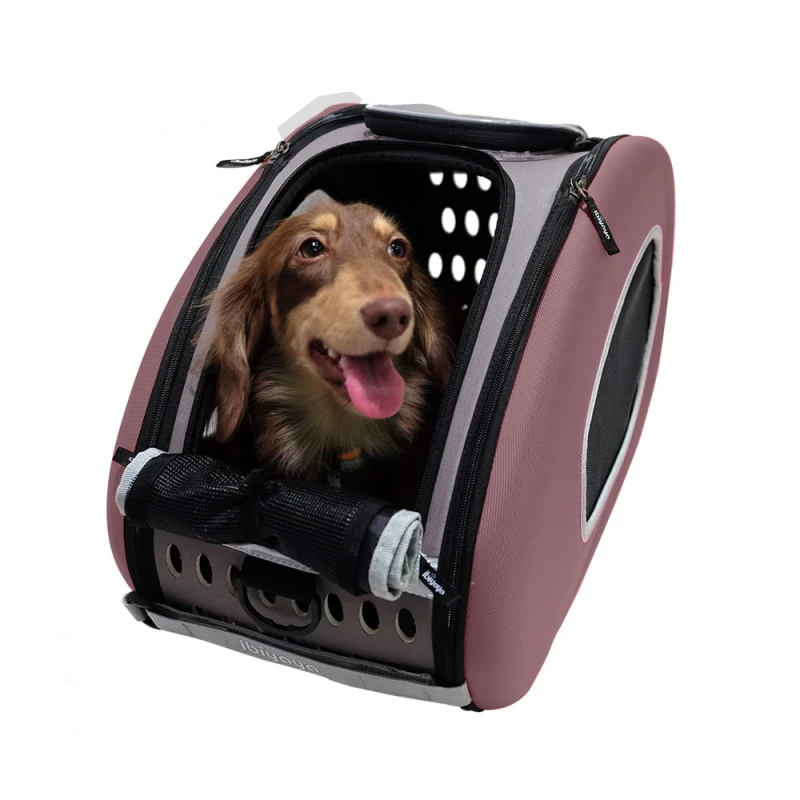 06_web_FS1009_BR_animal.jpg