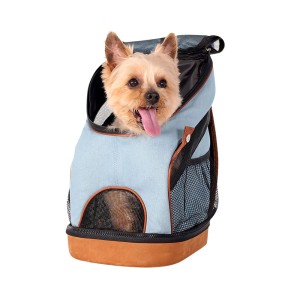 FC2131_web_01_dog_a.jpg