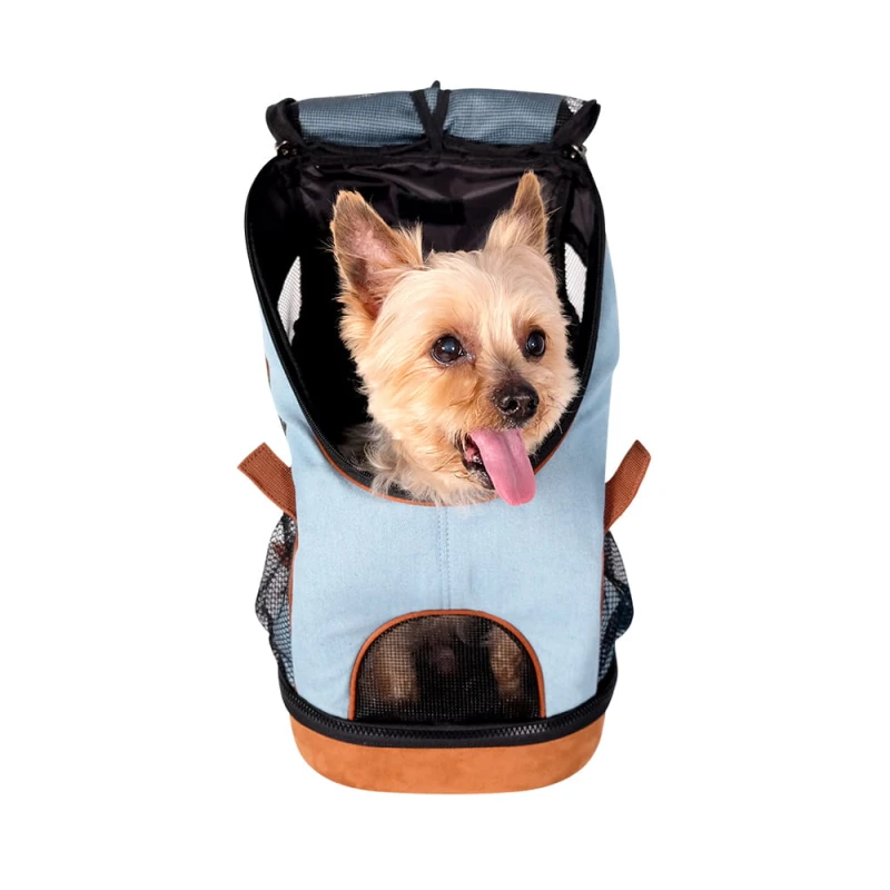FC2131_web_01_dog_b.jpg