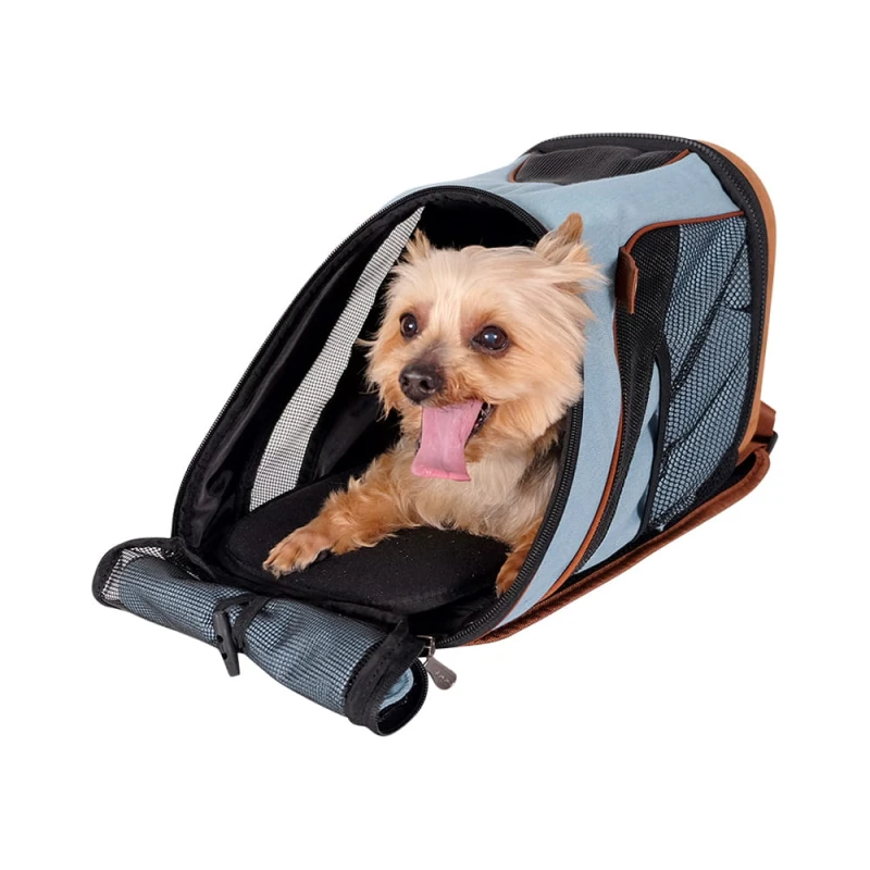 FC2131_web_01_dog_c.jpg