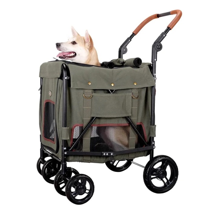 02_web_FS1880_AG_dog_1000_fix-2.jpeg