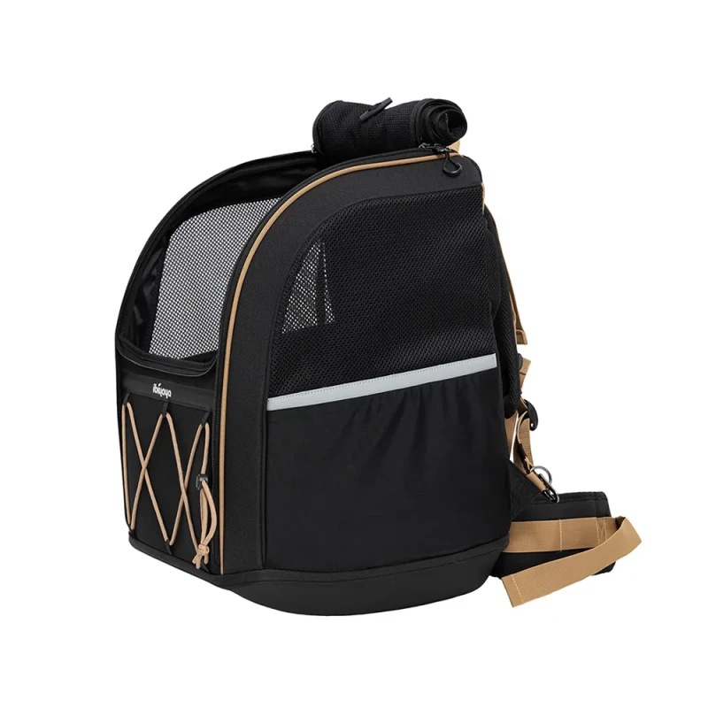 3.webp