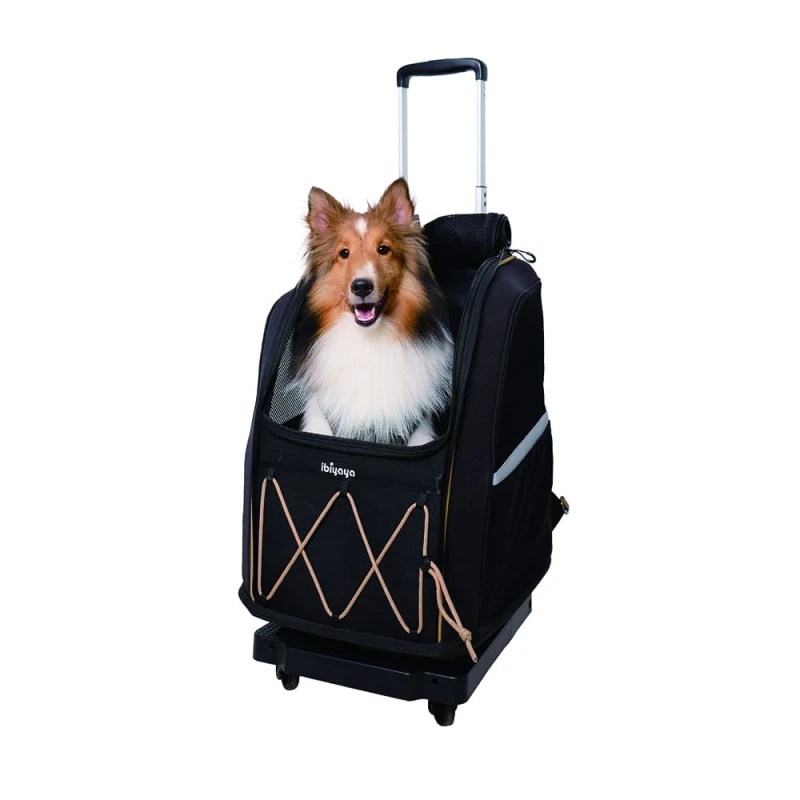 FC2345-trolley-04.jpeg
