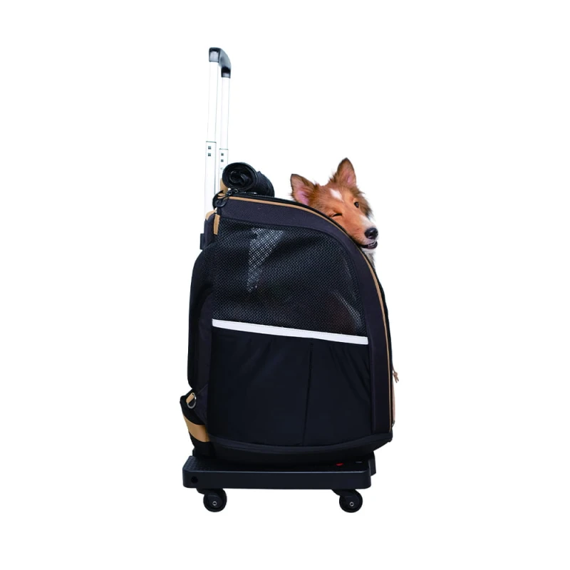 FC2345-trolley-07.jpeg