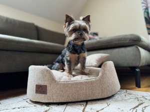 IMG_8428.jpg