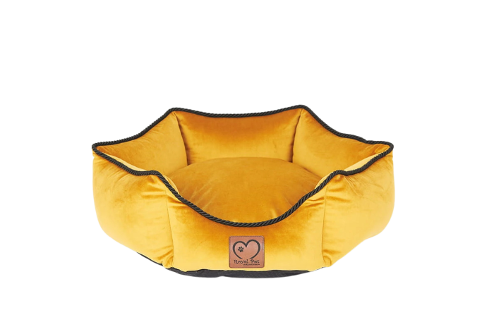 62dd465a-9d36-4d6c-80e9-df1ae4fdda8d.png