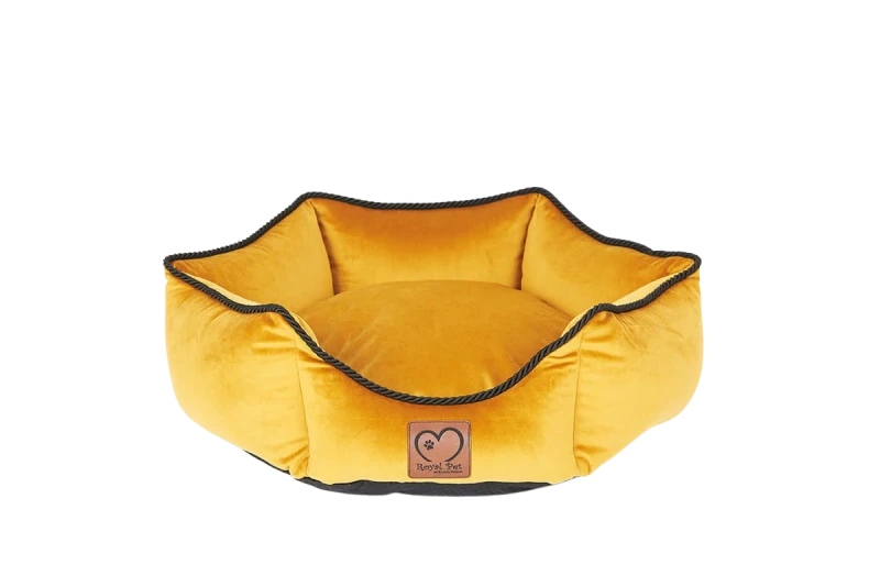 62dd465a-9d36-4d6c-80e9-df1ae4fdda8d.png