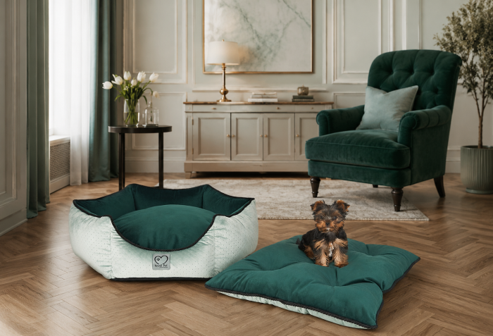 LUXURY SHOW LINE Kryptonite_zestaw_tło.png