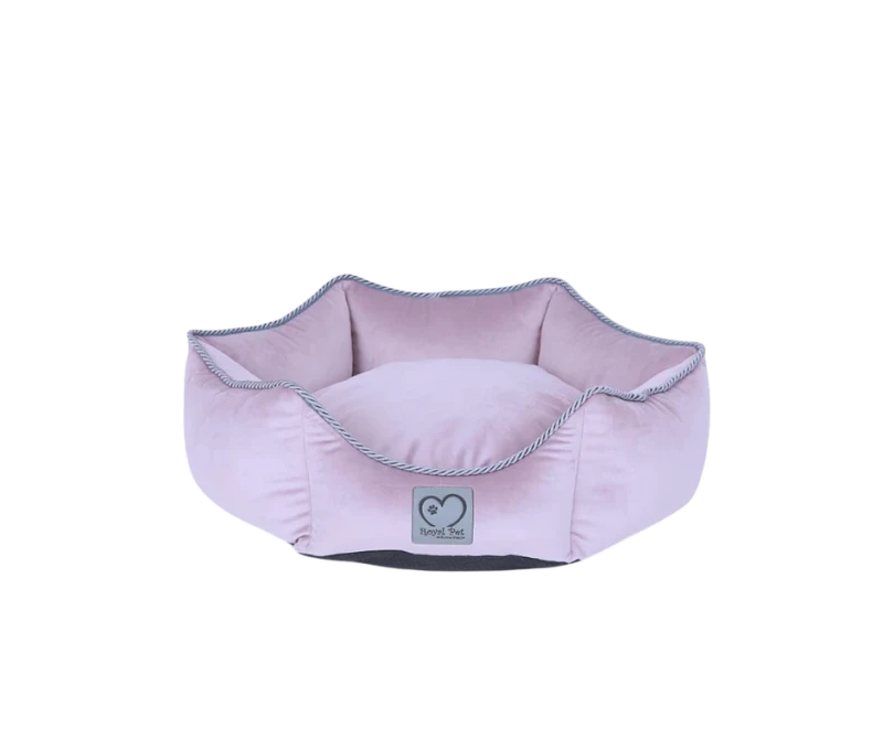 c4b6dd08-c550-495a-86a4-1f2f69d9eb24.png