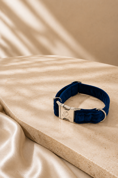 obroża navy blue.png