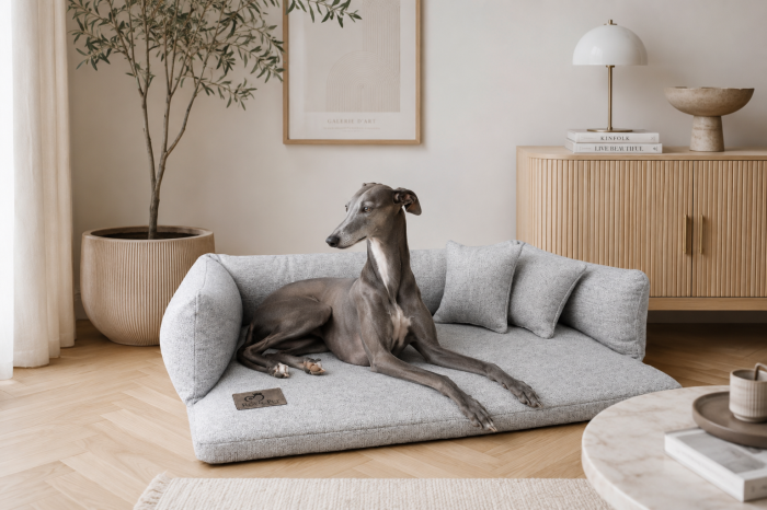 sofa_shadow.png