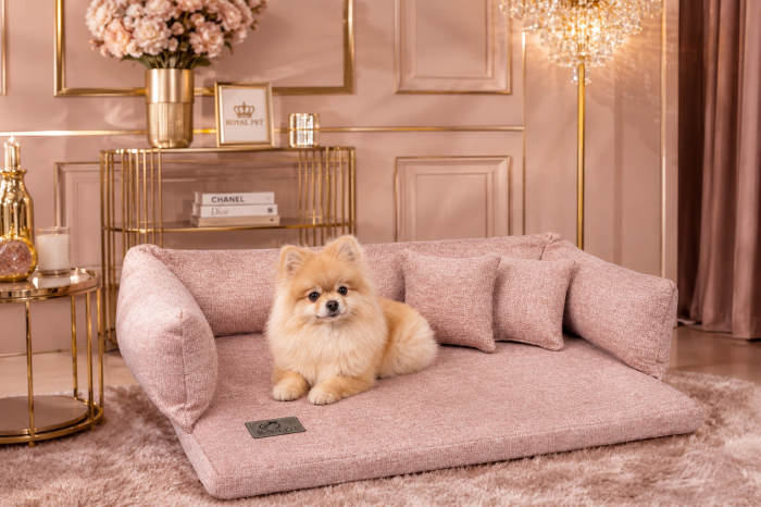sofa_aurora.png