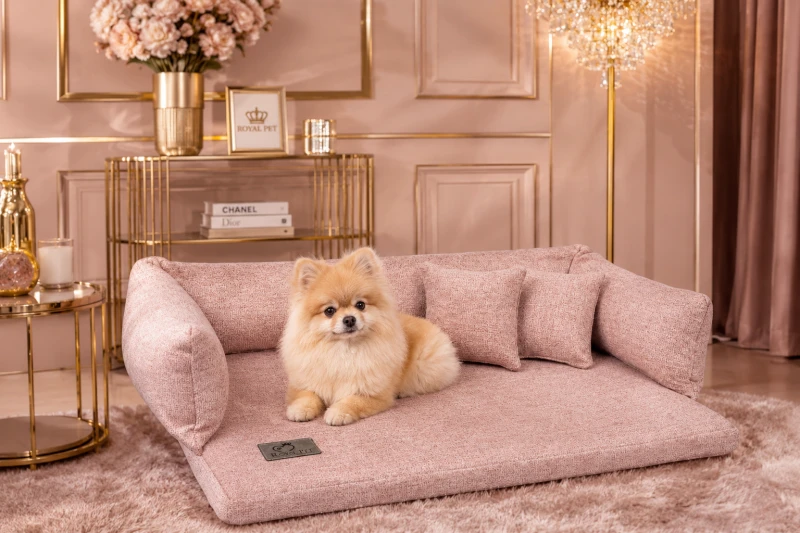 sofa_aurora.png