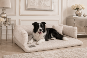 sofa_gaia.png