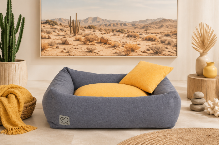 nature_desert.png