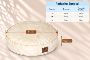 wymiary_poducha special.png